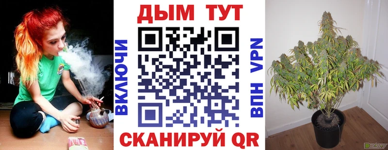 Как найти закладки Сухой Лог Псилоцибиновые грибы  блэк спрут tor  APVP  Кокаин 