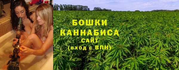 ешки Аркадак