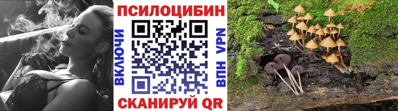 Псилоцибиновые грибы ЛСД  хочу наркоту  Сухой Лог 